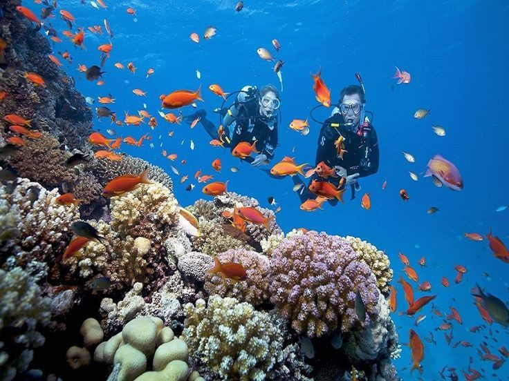 chi phí đi du lịch phú quốc, tour du lịch Tết 2026, tour Tết Nguyên Đán 2026